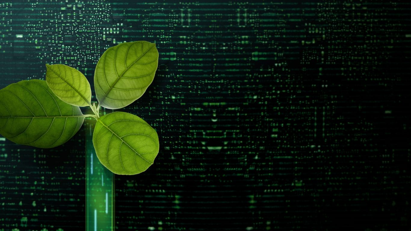 Plant growing with green tech background to show sustainability